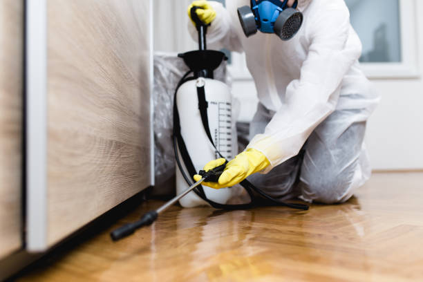 Best Ant Control Services  in Grantsburg, WI