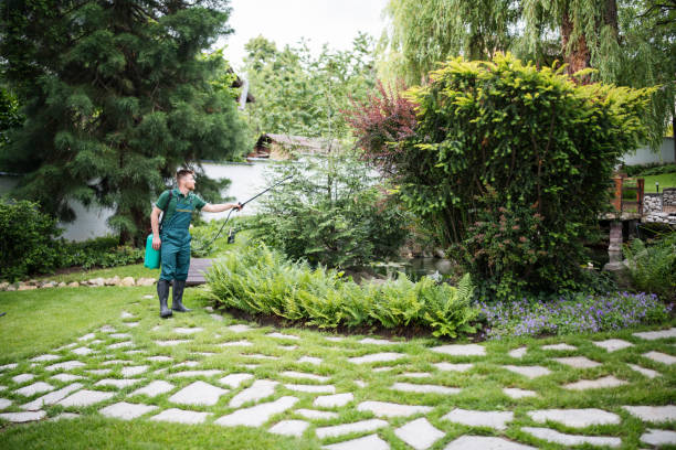 Best Pest Inspection Near Me  in Grantsburg, WI