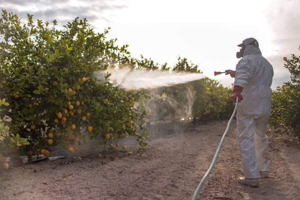 Best Exterminator Services  in Grantsburg, WI