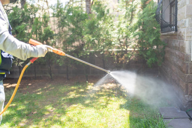 Best Insect Control  in Grantsburg, WI