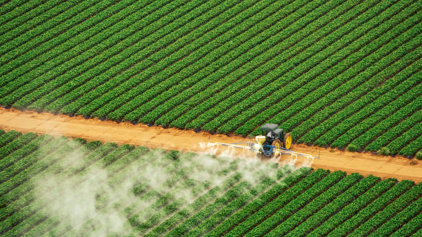 Best Insect Control  in Grantsburg, WI