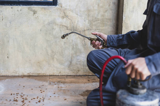 Professional Pest Control in Grantsburg, WI